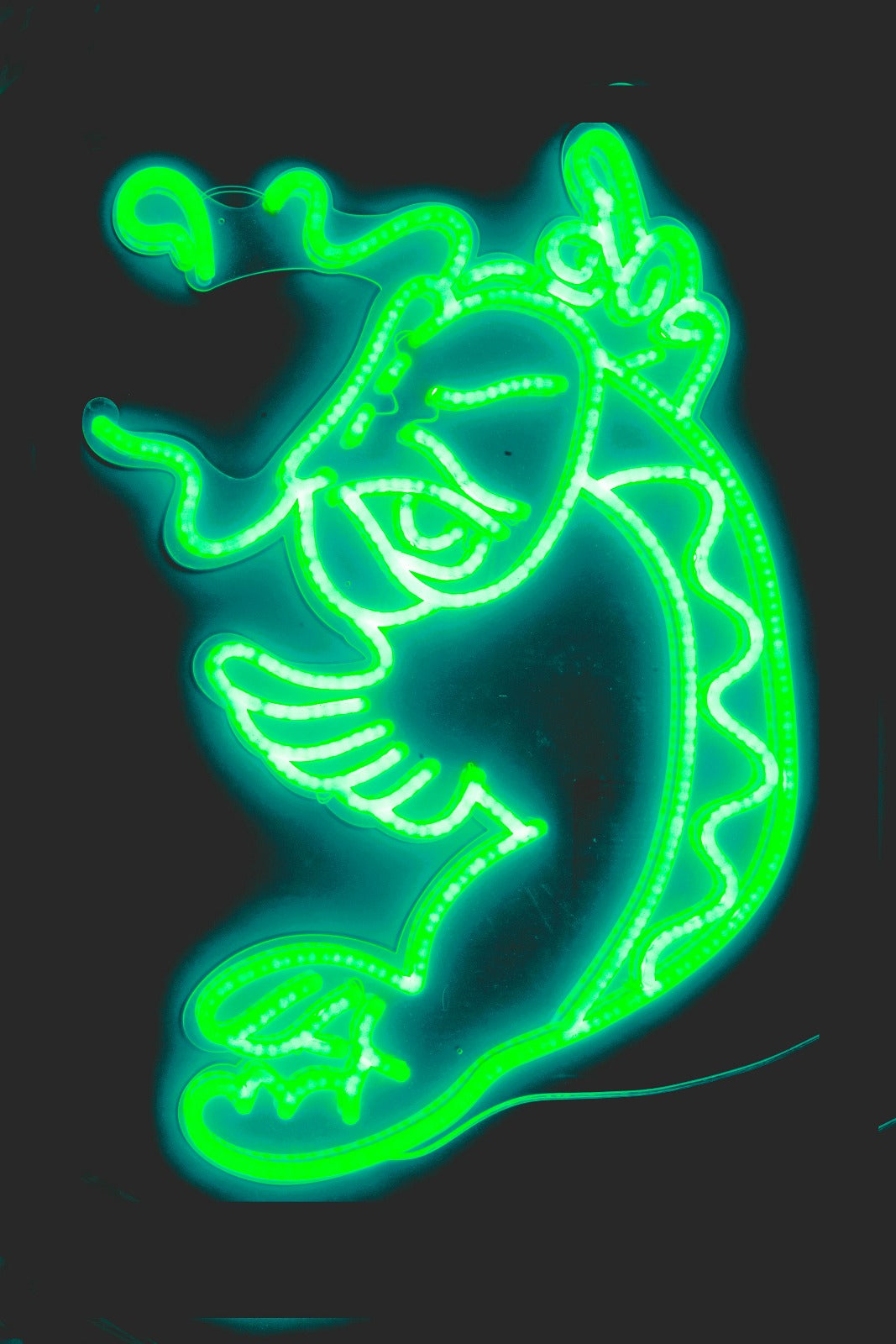 Green Koi Neon Light